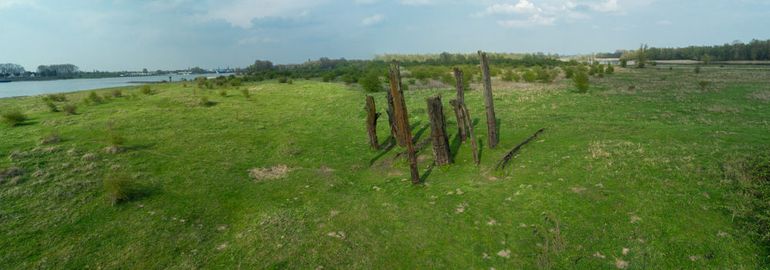 Woodhenge in de Millingerwaard middels fotomast