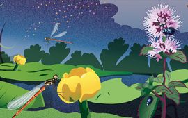 Joris Smidt Jaarillustratie 2024 Nederlandse Vereniging van Botanische Tuinen - detail