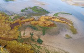Staatsbosbeheer Slikken van Flakkee