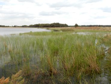 Het Beuven op 25 mei 2015