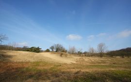 NL, Noord-Holland, Zandvoort, Amsterdamse Waterleidingduinen