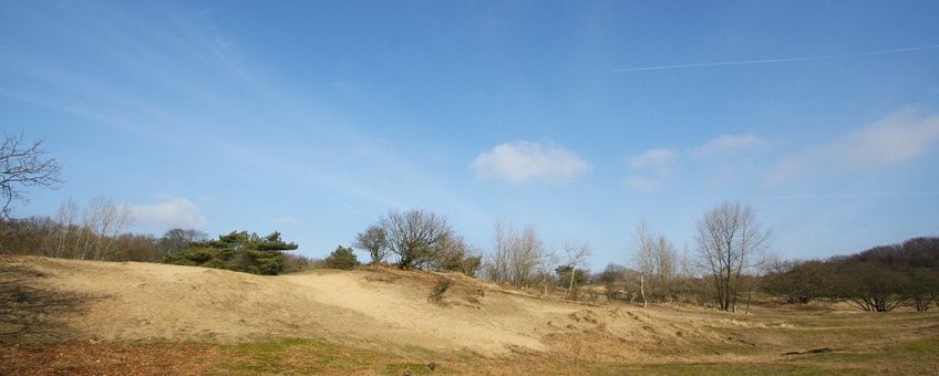 NL, Noord-Holland, Zandvoort, Amsterdamse Waterleidingduinen