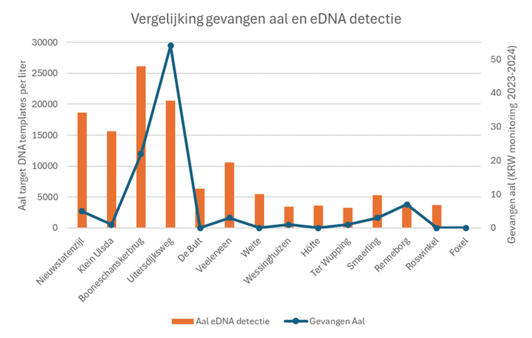 Aalvangsten van Kaderrichtlijn Water (KRW)-monitoring (2023) op basis van electrovissen afgezet tegen gedetecteerde eDNA-concentraties. Locaties waar geen KRW-monitoring is uitgevoerd zijn niet toegevoegd aan de grafiek (Hongerige wolf, Vlagtwedde, Ter borg, Ter Apel). Locaties met lichtgroene arcering (links) bevinden zich in het voedselrijke poldergebied en locaties met paarse arcering (rechts) bevinden zich in het voedselarmere Drentse plateau