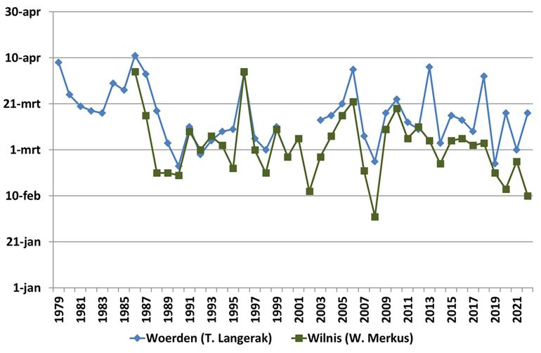 Eerste honingbijen met wilgenstuifmeel in de bijenkast in de jaren 1979 tot en met 2022