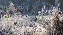 tuin lenteklaar - primair