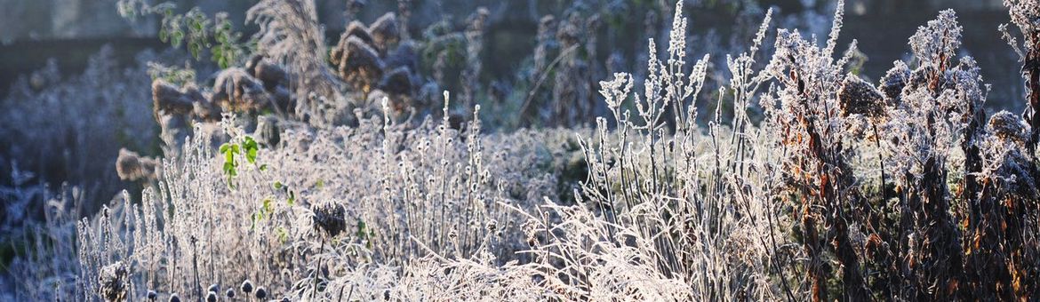 tuin lenteklaar - primair