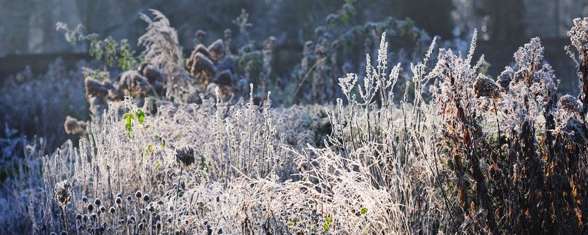 tuin lenteklaar - primair