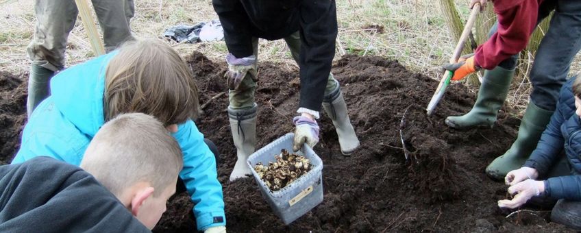 Ringslangbroeihoop omzetten