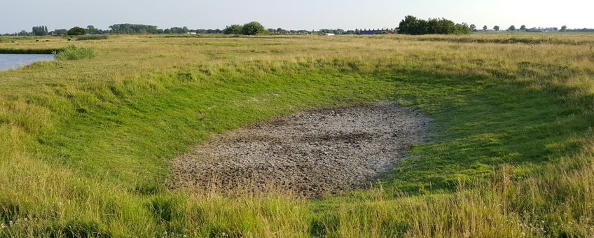 Drooggevallen poel