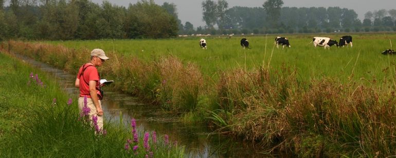 We hebben heel veel kennis over de natuur, maar we maken daar bij beleid en beheer van de natuur nauwelijks gebruik van