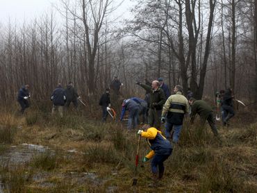 De trainees organseren onder andere werkdagen in de natuur om bedreigde soorten te helpen, zoals hier in het Kuinderbos