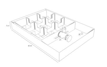 Figuur 1. Schematische tekening van de testarena die is gebruikt voor het meten van verkenningsgedrag bij ruige dwergvleermuizen. A) Ondoorzichtige startbuis waar vleermuizen worden geplaatst aan het begin van de test. B) Verwijderbare barrières. C) Poorten verbinden de verschillende kamers. D) Positie van de microfoon