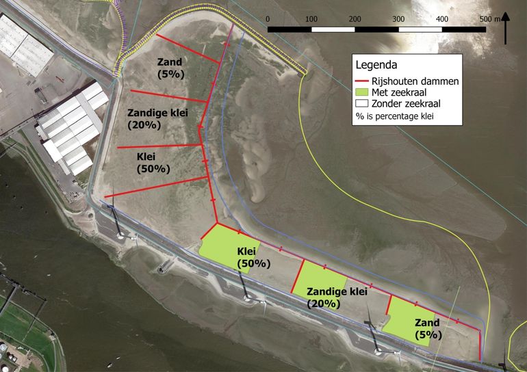 Ontwerp pionierkwelder met proefvakken die verschillen in de verhouding zand/klei, de natuurlijke aanvoer van zeekraalzaad en het wel of niet inzaaien van zeekraal