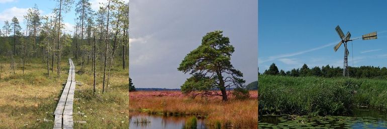 Moerasgebieden in Finland en Nederland
