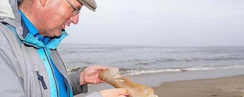 Een gevonden orkabot op het strand