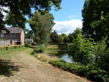 Natuur, op zich al waardevol, heeft ook voor de mens veel positieve aspecten