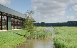 Hoeve Biesland bouwde een vrijloopstal waarin mest met biomassa wordt gecomposteerd. Ook werden veel natuurvriendelijke oevers aangelegd.