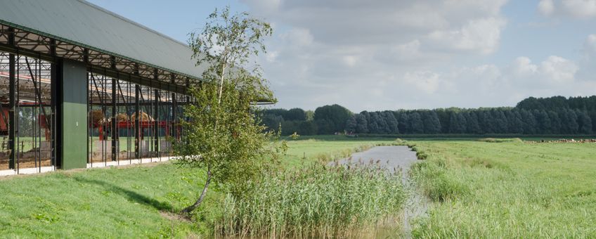 Hoeve Biesland bouwde een vrijloopstal waarin mest met biomassa wordt gecomposteerd. Ook werden veel natuurvriendelijke oevers aangelegd.