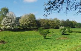 Sander Turnhout landschap - primair