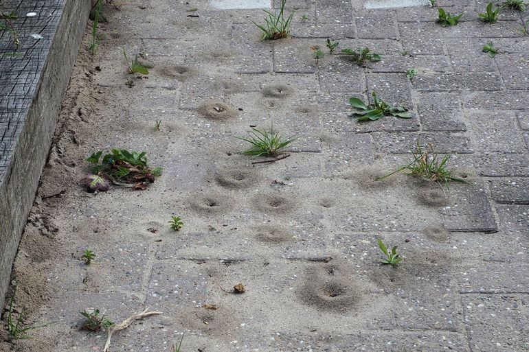 Een door draaigatjes ondergraven stoep