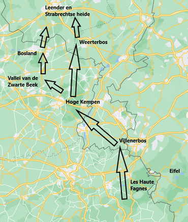 Verwachte route die de wilde kat zal afleggen als de draagkracht van het huidige leefgebied wordt bereikt