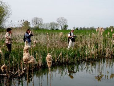 Belangrijke motivatie van waarnemers is interesse in de natuur