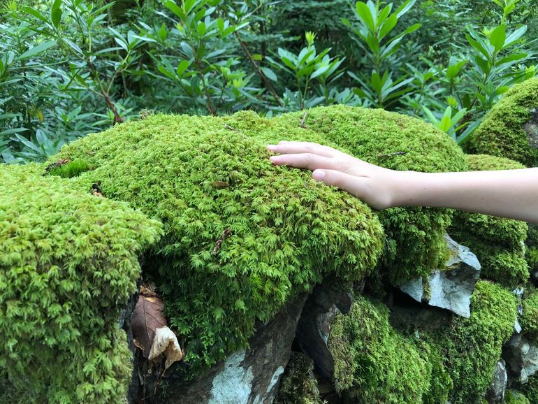 Natuur vergroot onze weerbaarheid op tal van manieren