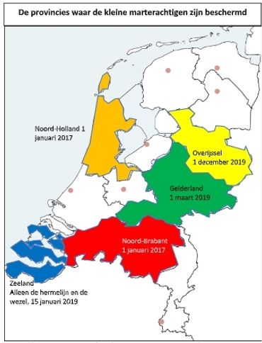 Provincies waar kleine marterachtigen zijn beschermd