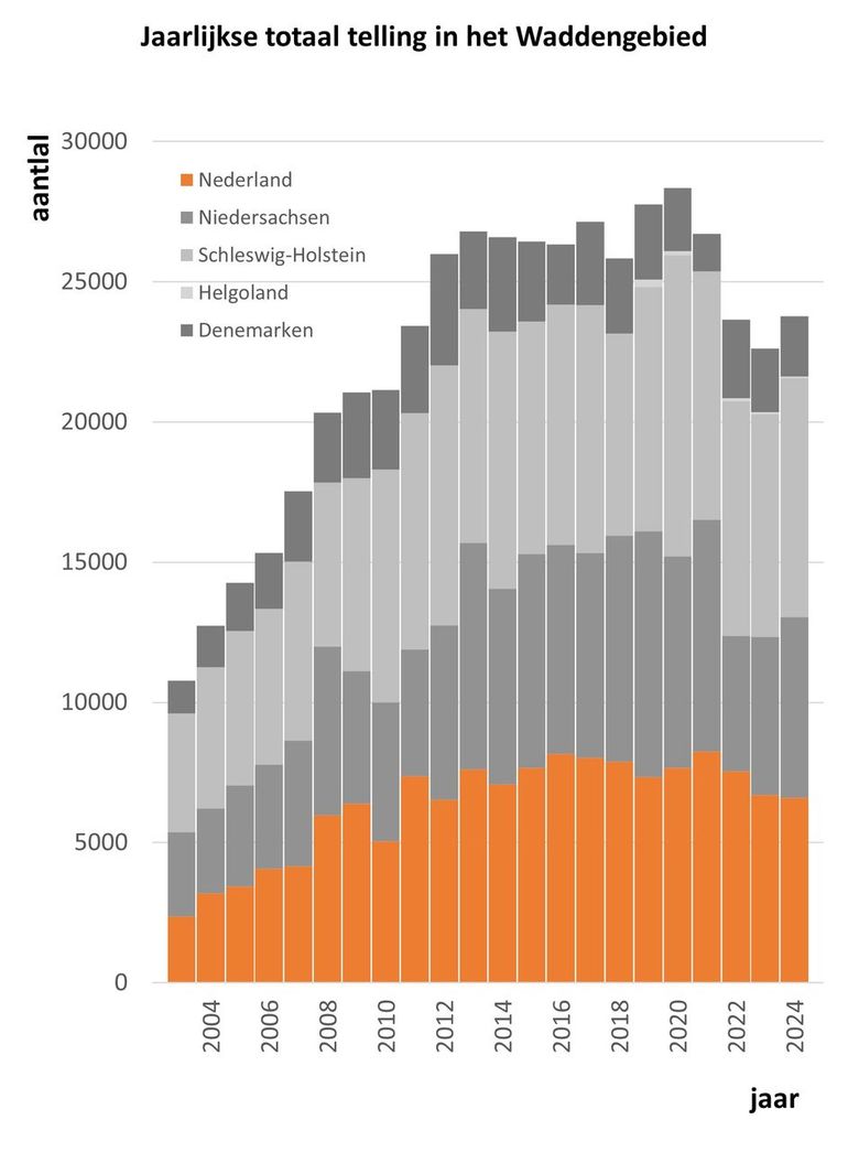 Totaaltellingen gewone zeehonden Waddengebied