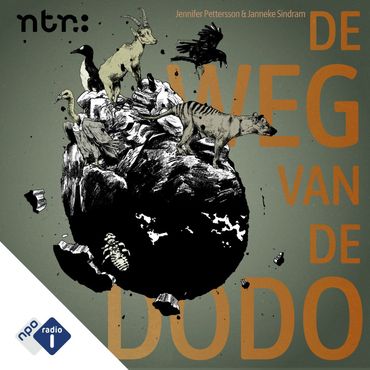 Afbeelding van de podcast