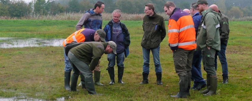 Beheerders discusseren over juiste beheer Kruipend Moerasscherm