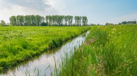 Goed beheerde slootkanten langs N11