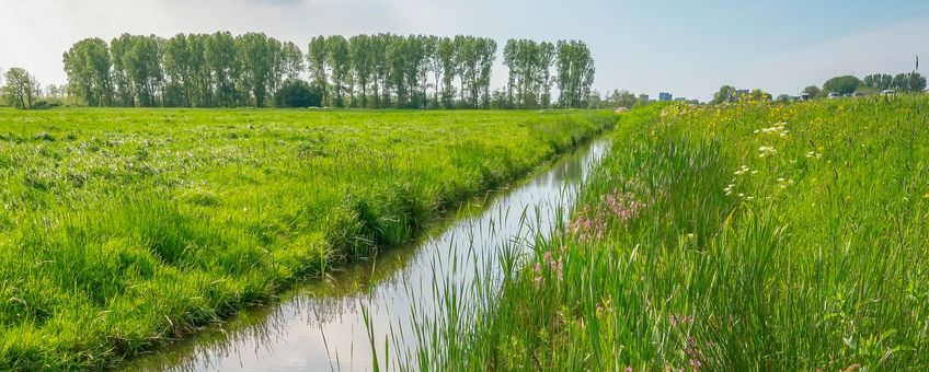 Goed beheerde slootkanten langs N11