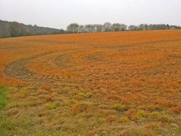 Als je de maatregelen niet neemt, herstelt de natuur zich niet