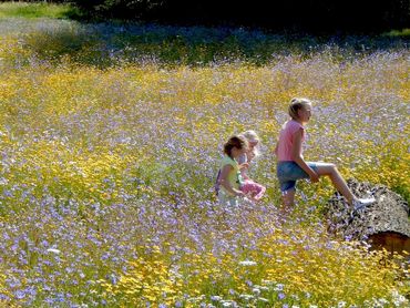 Kinderen genieten in de idylle in Brielle