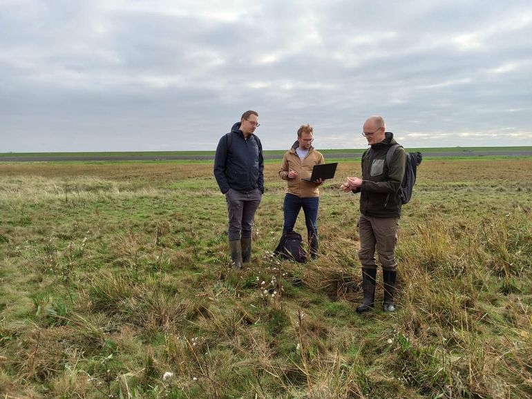 Ecologen van de provincie Groningen controleren samen met Spheer.ai resultaten in het veld