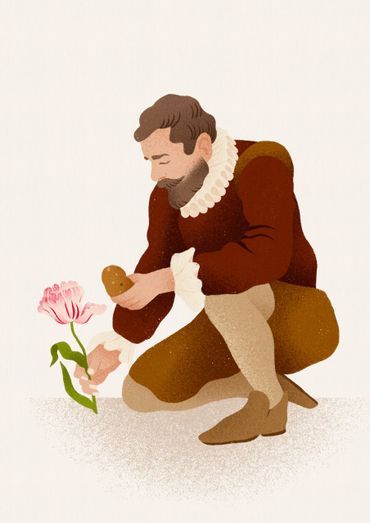 Clusius in de bloei van zijn leven