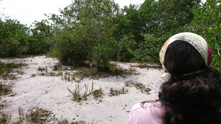 White sand in the Amazon