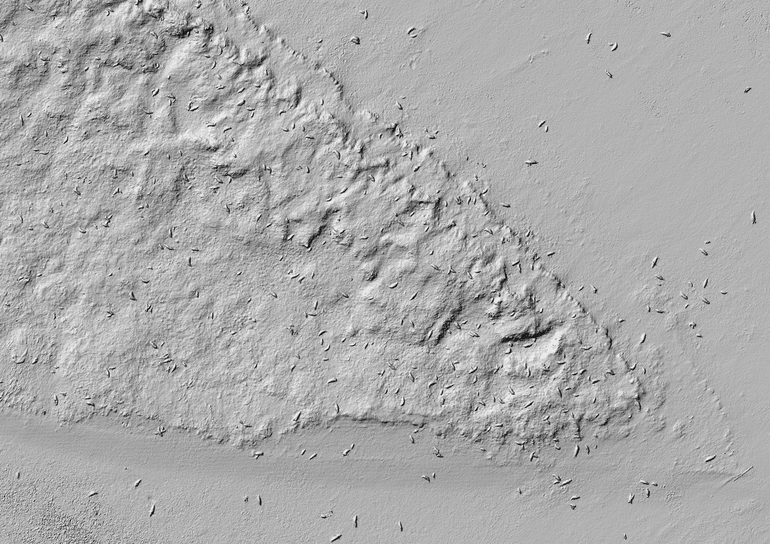 Figuur 3: Een zogenaamd ‘Digital Elevation Model’ van de zeehonden op de Richel. De zeehonden liggen verspreid als kleine stipjes over het wad en in de duinen