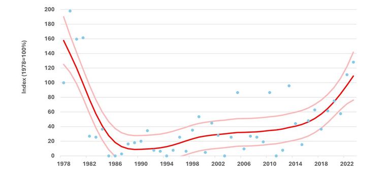 Trend van de Venusschelp, gebaseerd op getelde aangespoelde exemplaren (doubletten en exemplaren met vleesresten) op het SMP-traject Katwijk-Noordwijk. De gegeven waarden zijn ten opzichte van 1978. Blauw: gemeten waarden. Rood: trendlijn. Roze: betrouwbaarheidsinterval, november 2024