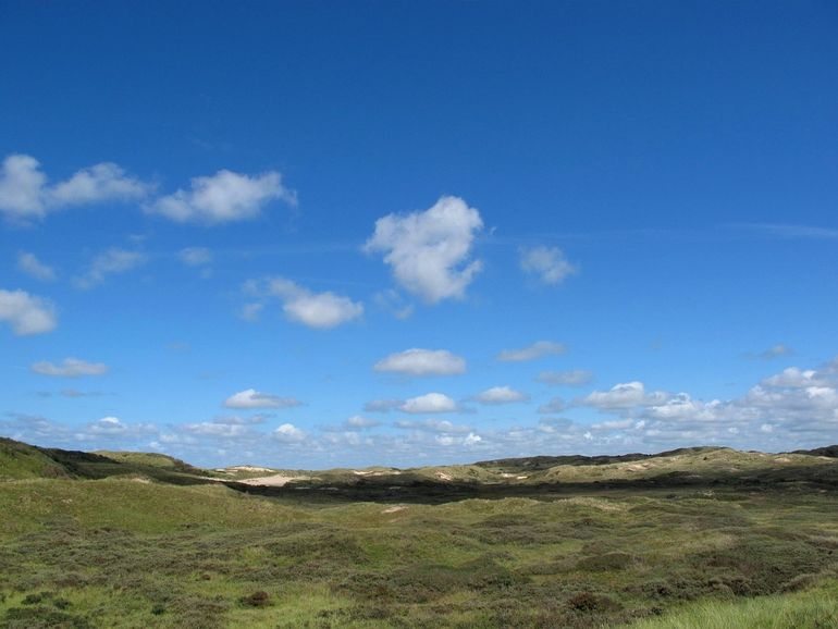 Noordhollands Duinreservaat