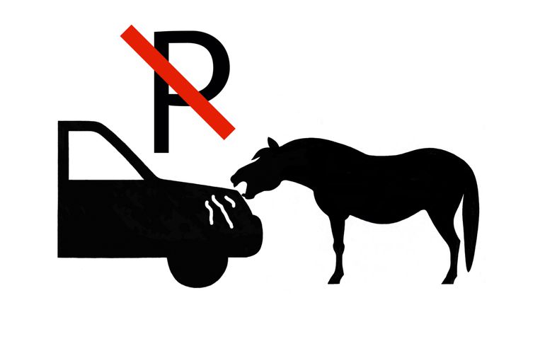 Let op! Auto's hebben aantrekkingskracht op paarden