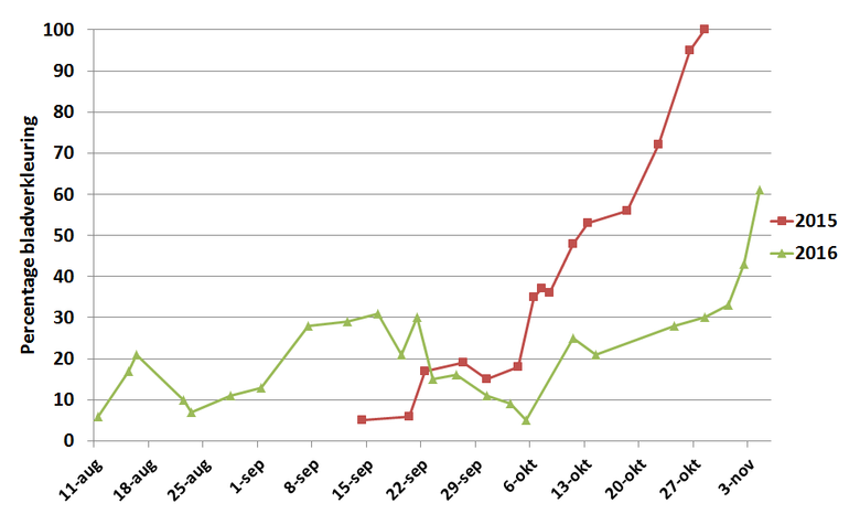 Figuur 1: Percentage van de bladeren van een berk in de Lumentuin dat verkleurd is in 2015 en 2016 (t/m 4 november 2016)