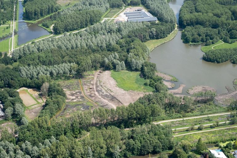 Realisatie van bosstroken door alle overige bomen te kappen