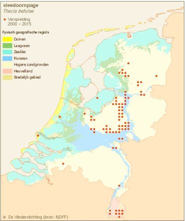 Verspreiding sleedoornpage