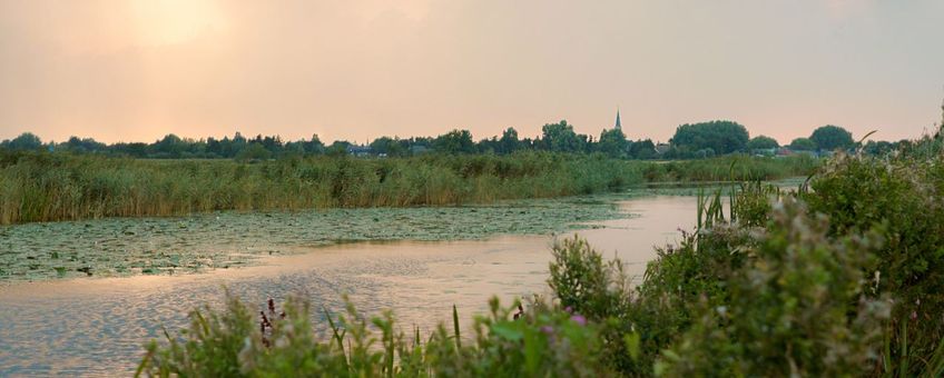 Veenweidegebied Utrecht