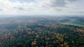 luchtfoto van Gelders bosgebied