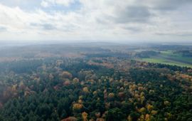 luchtfoto van Gelders bosgebied