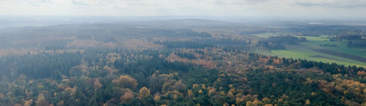 luchtfoto van Gelders bosgebied