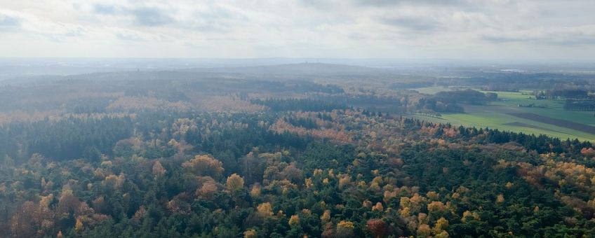 luchtfoto van Gelders bosgebied